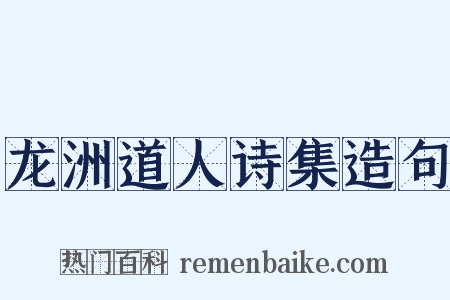 龙洲道人诗集造句是什么意思的图片